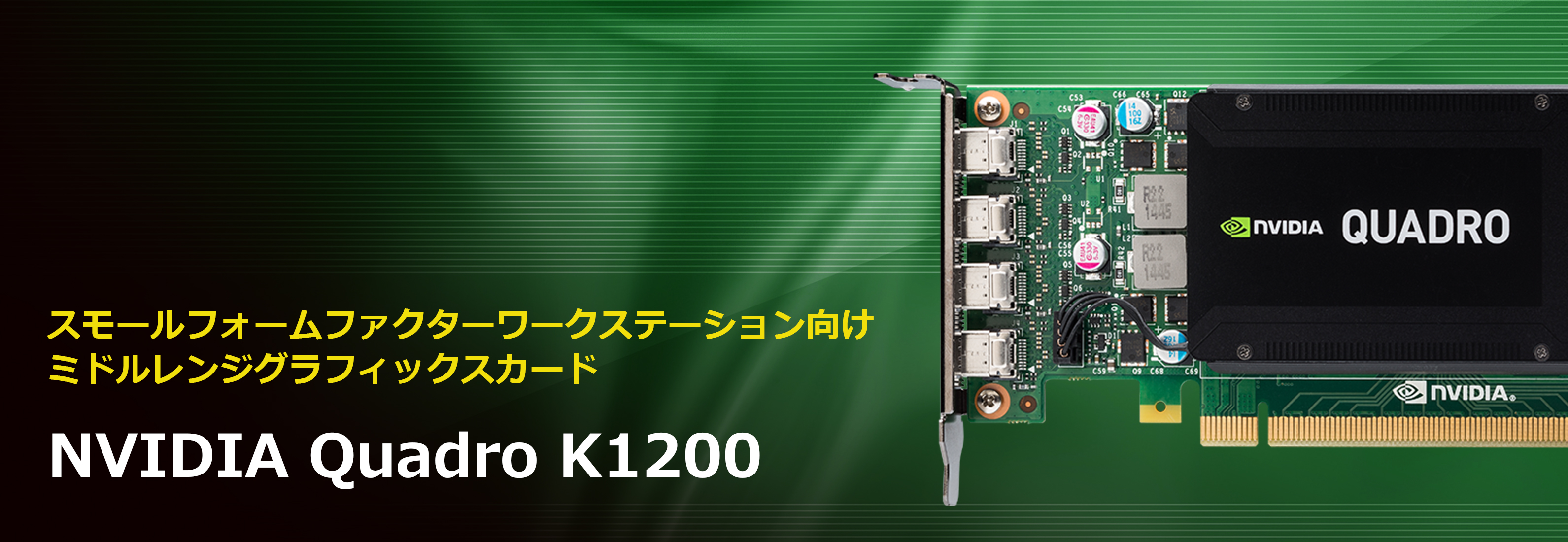 NVIDIA Quadro K1200 | 菱洋エレクトロ株式会社 - NVIDIA製品情報