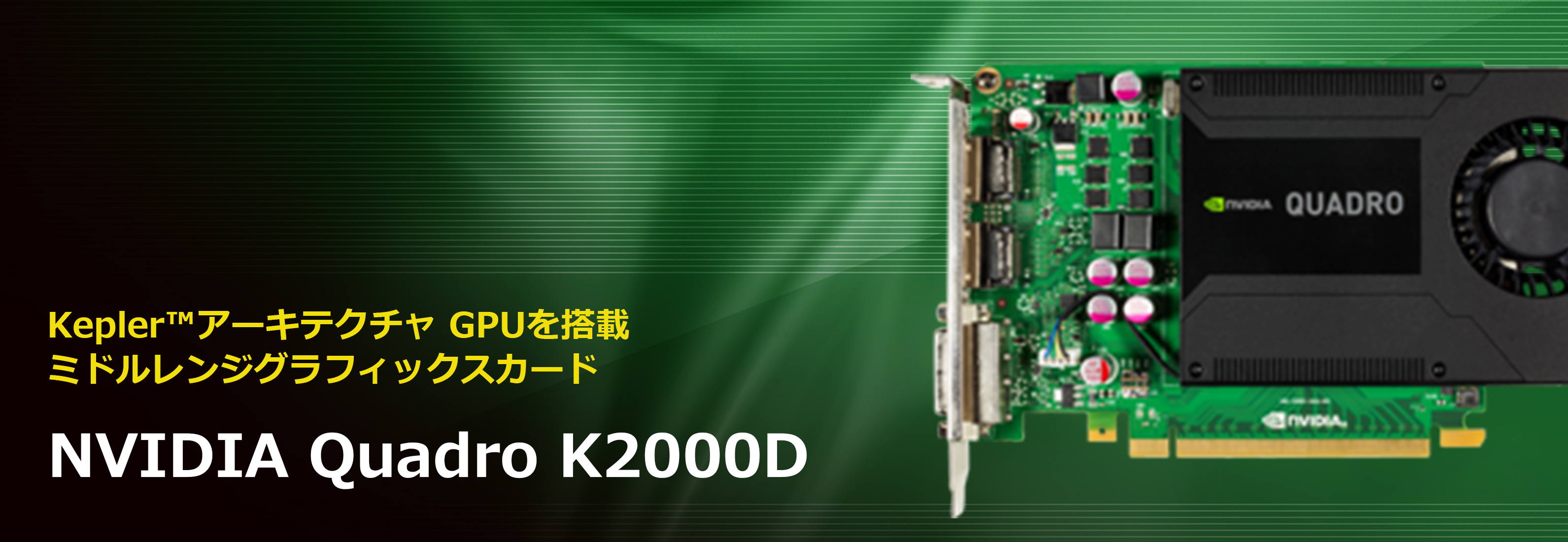 NVIDIA Quadro K2000D | 菱洋エレクトロ株式会社 - NVIDIA製品情報