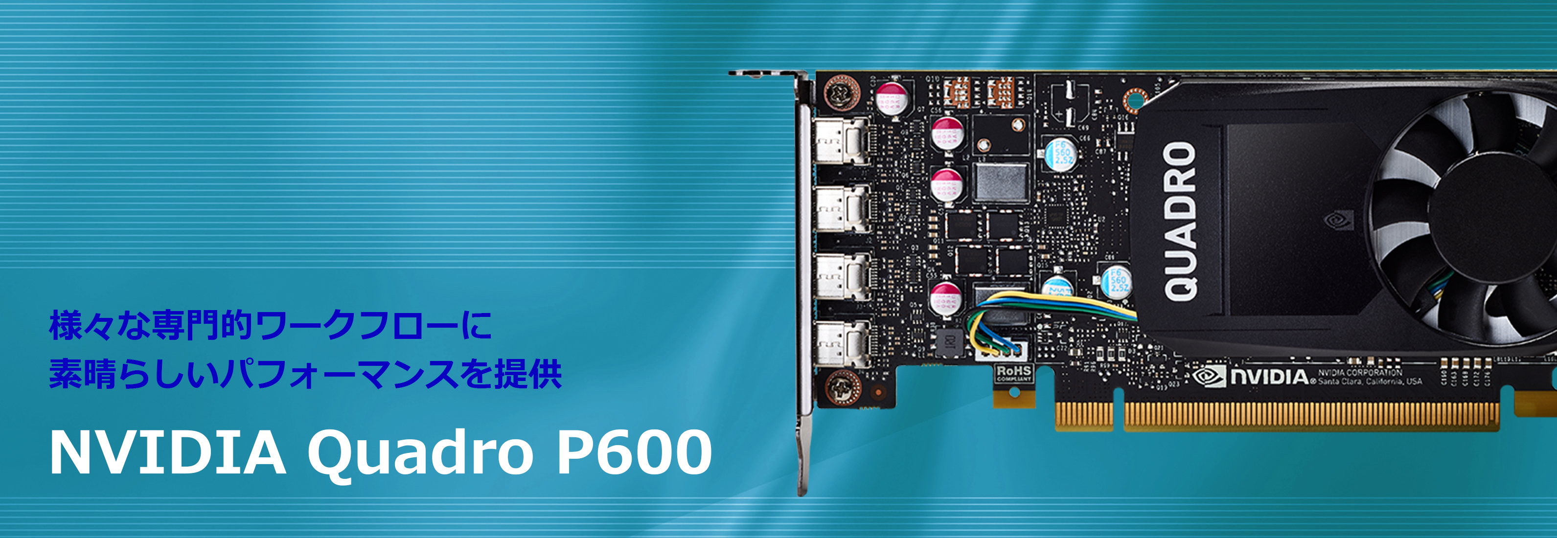 未使用 NVIDIA Quadro P600 LP ロープロファイル 動作確認済 sushitai ...